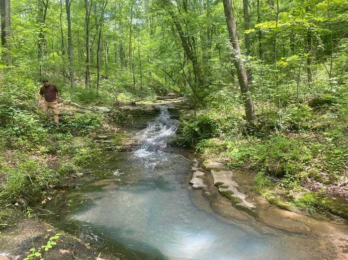 Mulberry River Outdoor Adventures Picture 8