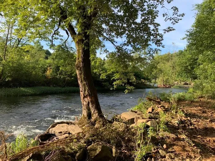 Mulberry River Outdoor Adventures Picture 9