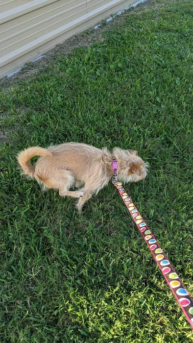 Texas Gulf RV Park Picture 6