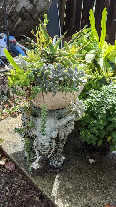 Texas Gulf RV Park Picture 4