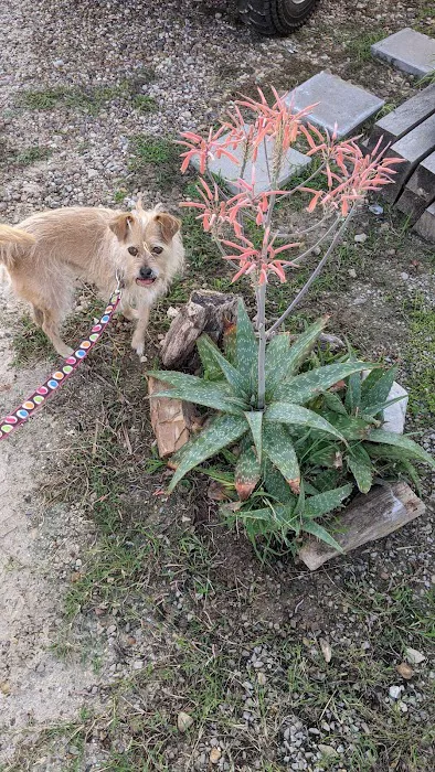 Texas Gulf RV Park Picture 10