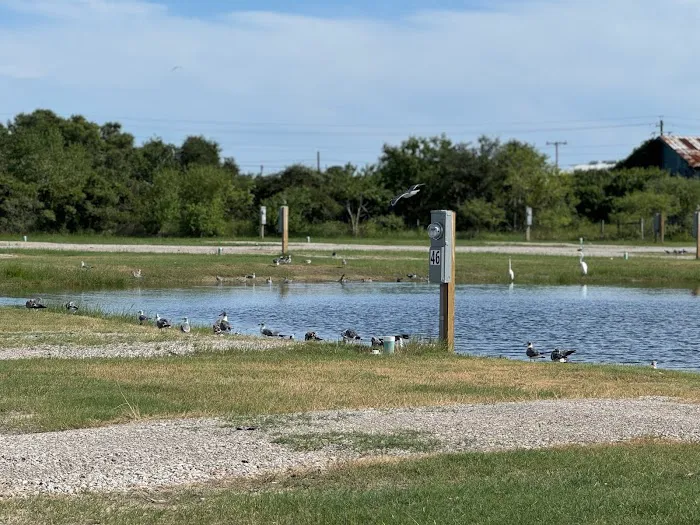 End of the Road RV Park LLC Picture 3