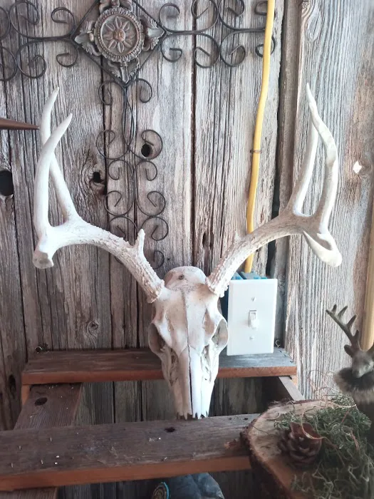 Circle Lane Mobile Home Park Picture 4