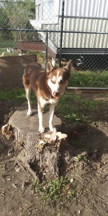 Circle Lane Mobile Home Park Picture 10