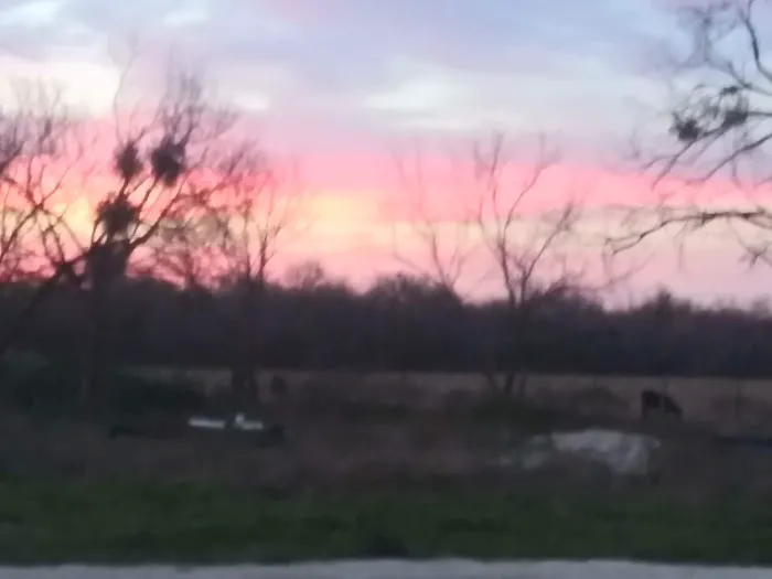 Rock Knoll RV park Picture 4