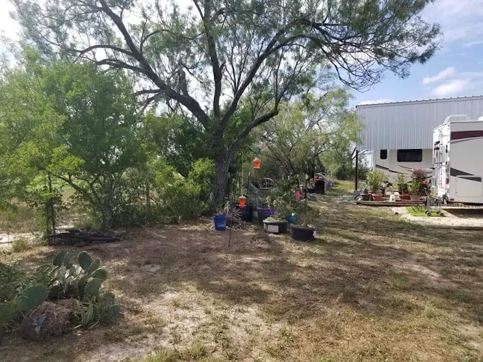 Cactus Ridge RV Ranch (Park) Picture 3