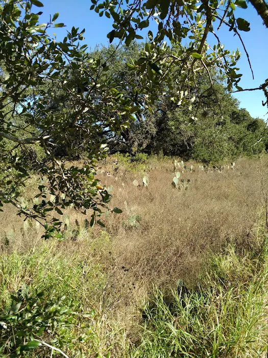 Devine Trailer Park Picture 1