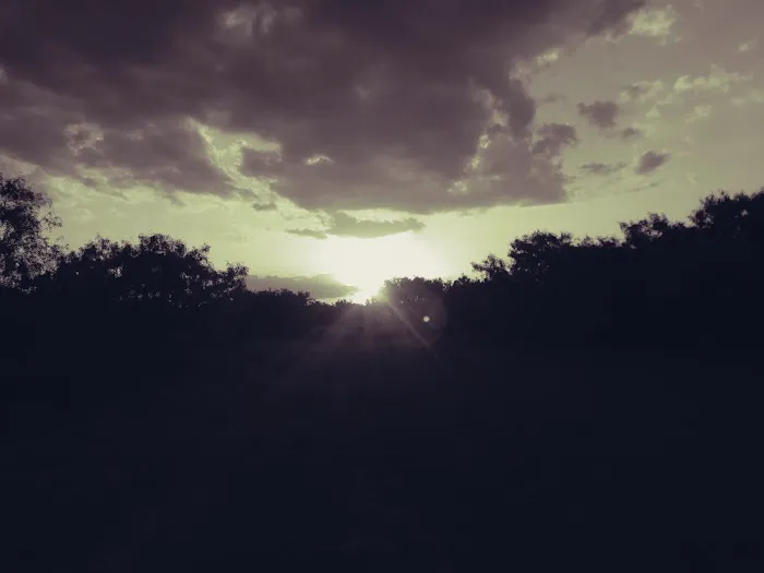 Devine RV Park Picture 2