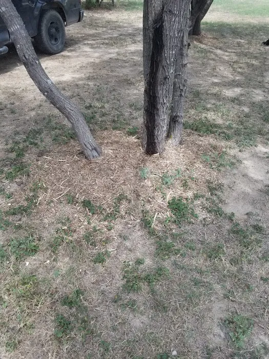 Devine RV Park Picture 5