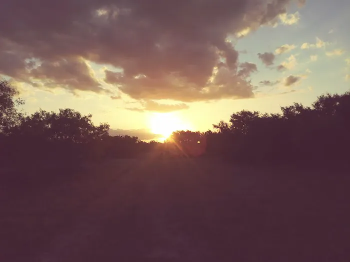 Devine RV Park Picture 7