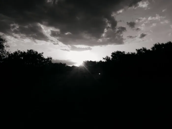 Devine RV Park Picture 8