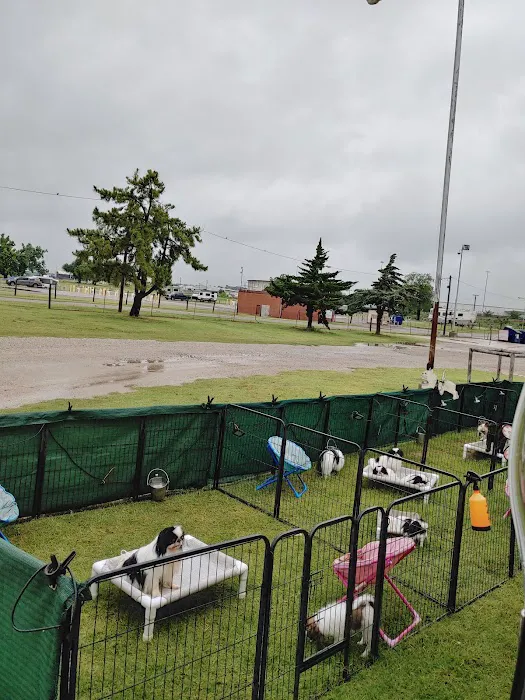 Fairgrounds RV Park Picture 3
