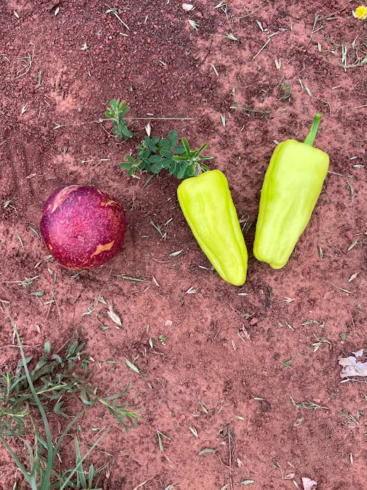 Holiday Roads RV Park Picture 6