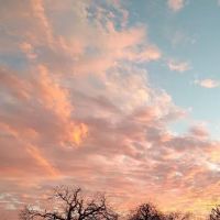 Whispering Oaks Mhc ico