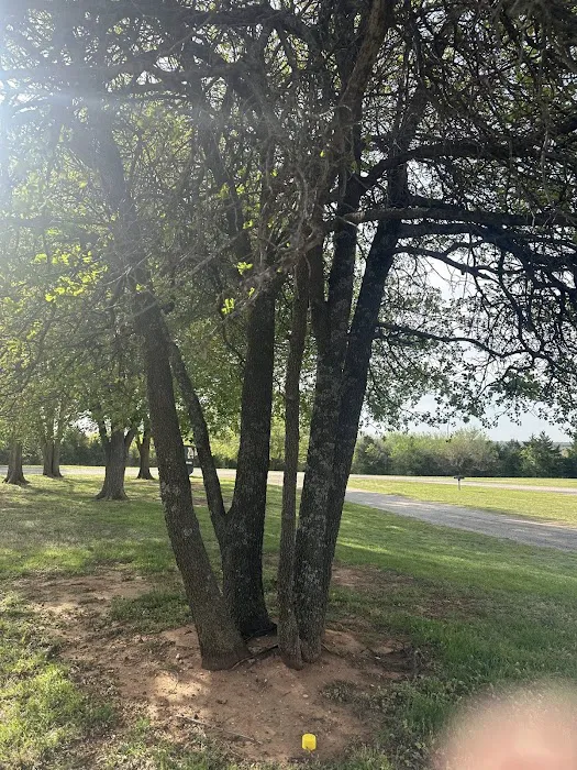 Pioneer RV Park Picture 10
