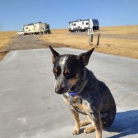 Canyon Brook RV Park ico