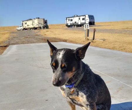 Canyon Brook RV Park