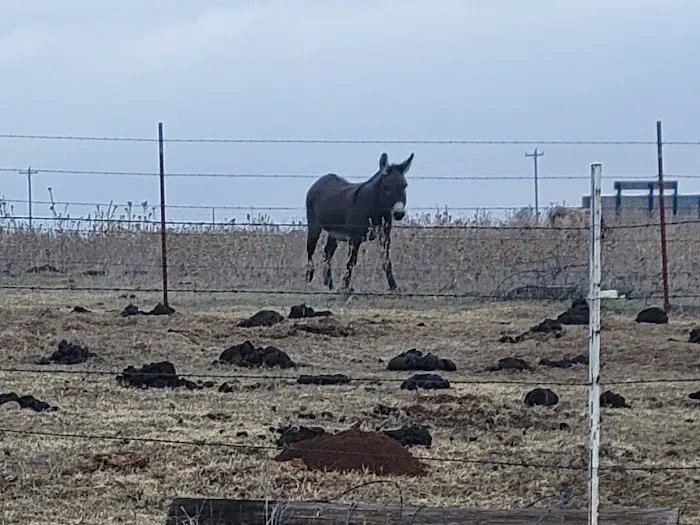 Canyon Brook RV Park Picture 9