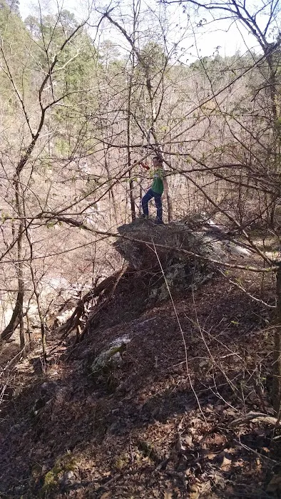 Little Quiet RV Park Picture 1