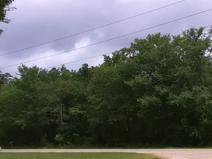 Little Quiet RV Park Picture 2