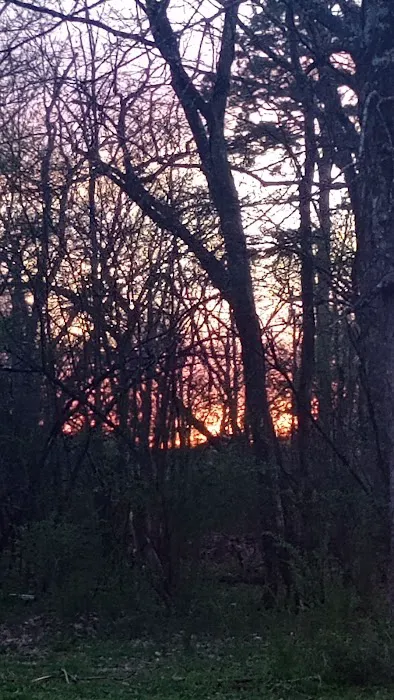 Little Quiet RV Park Picture 5