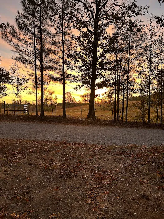 Oakhill Campground & RV Park Picture 5