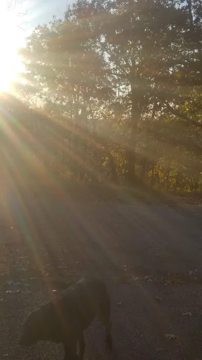 Fort Phantom Lakeside RV Park Picture 5