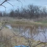 Big Tree Mobile Home Park