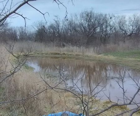 Big Tree Mobile Home Park