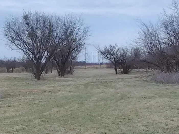 Big Tree Mobile Home Park Picture 5