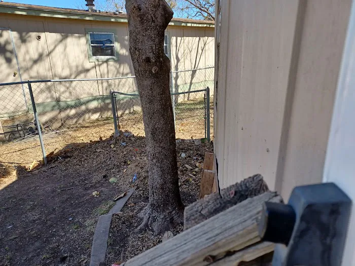 Continental Villa Picture 4