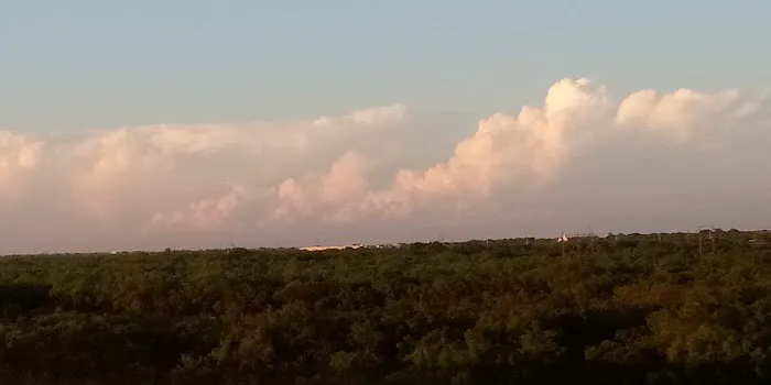 Continental Villa Picture 3