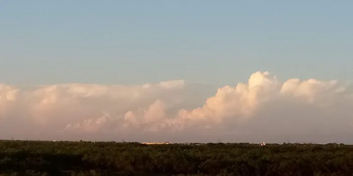 Continental Villa Picture 8