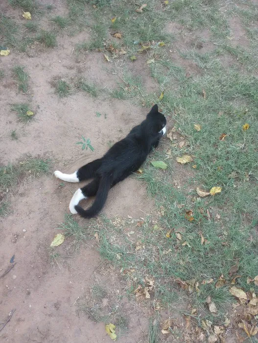 Village Mobile Home Park Picture 5