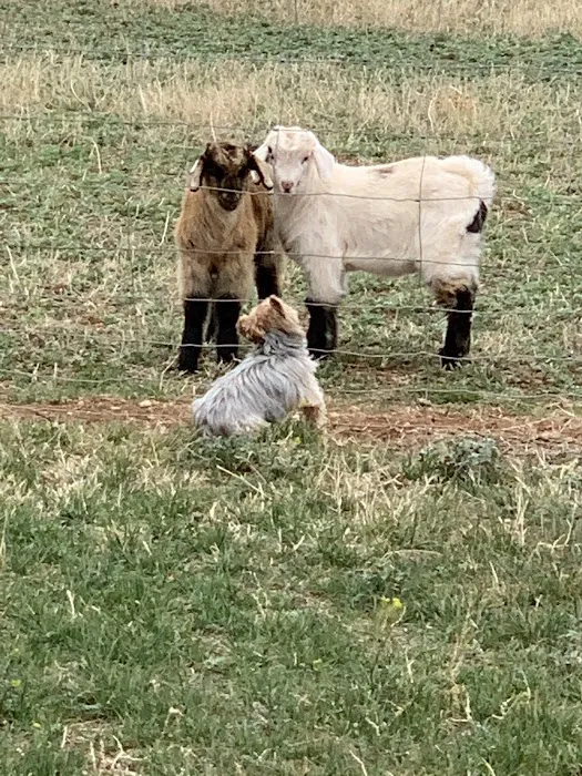 Ignorant Hill RV Ranch Picture 6