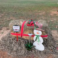 Peach Country RV Park ico