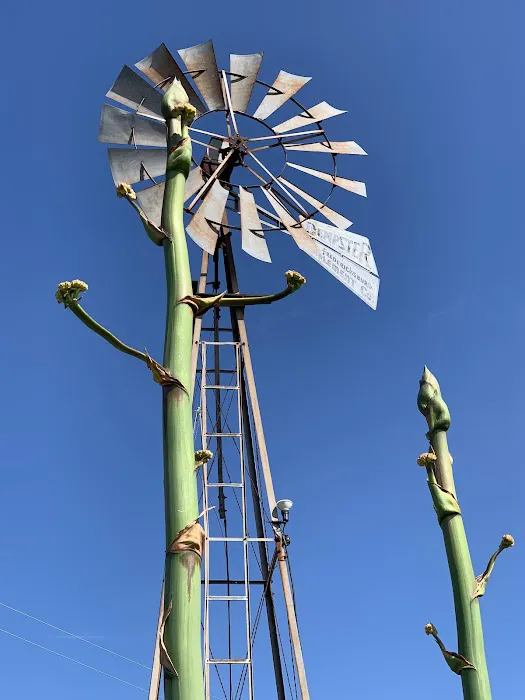 Peach Country RV Park Picture 4