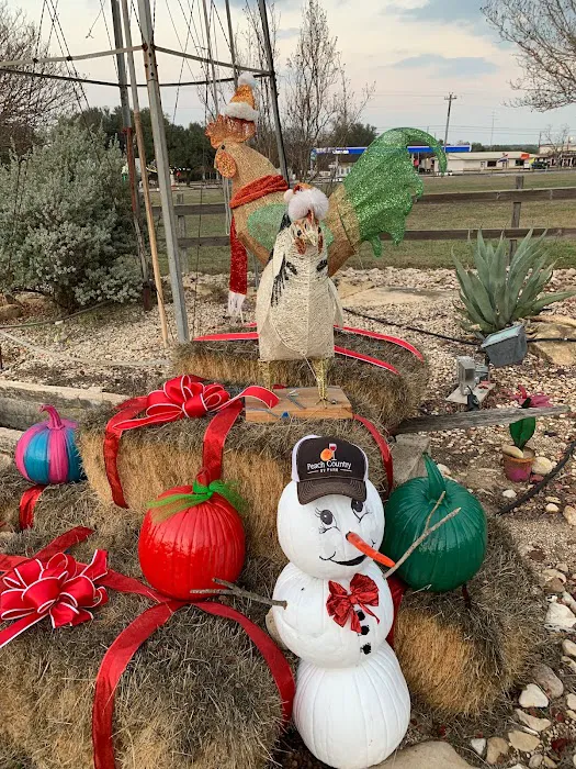 Peach Country RV Park Picture 7