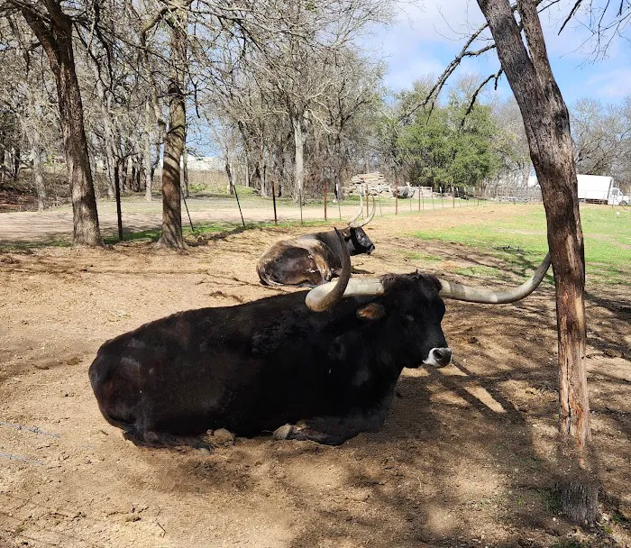 Bending Oaks Ranch RV Resort Picture 6