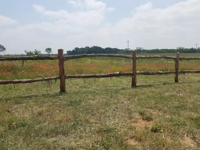 Bending Oaks Ranch RV Resort Picture 4