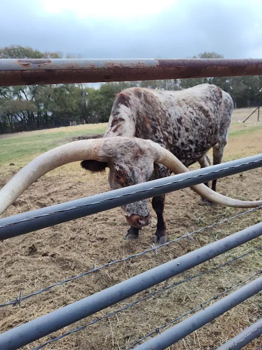 Bending Oaks Ranch RV Resort Picture 7