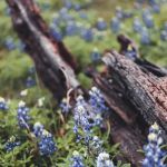 Hill Country RV Park