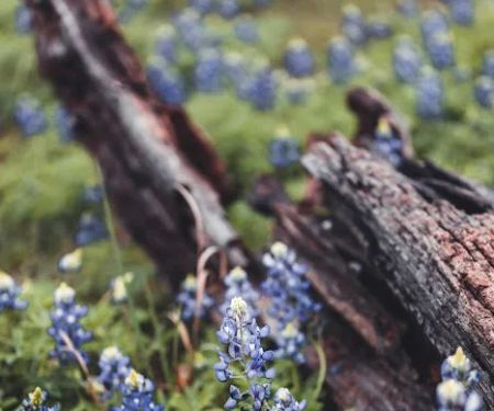 Hill Country RV Park