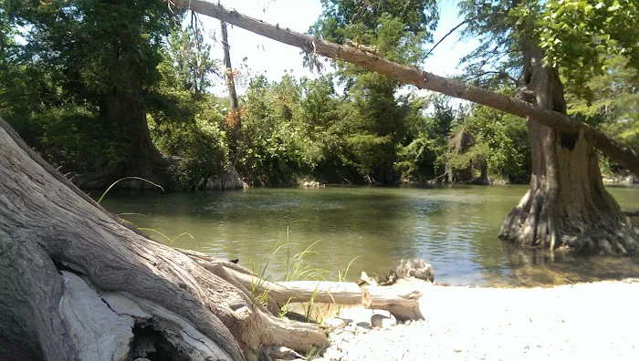Guadalupe River RV Park & Campgrounds Picture 4