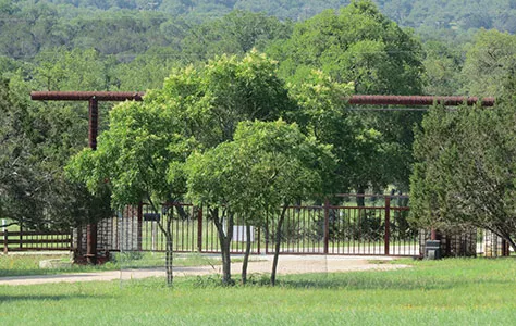 Southern Star RV Park Picture 6