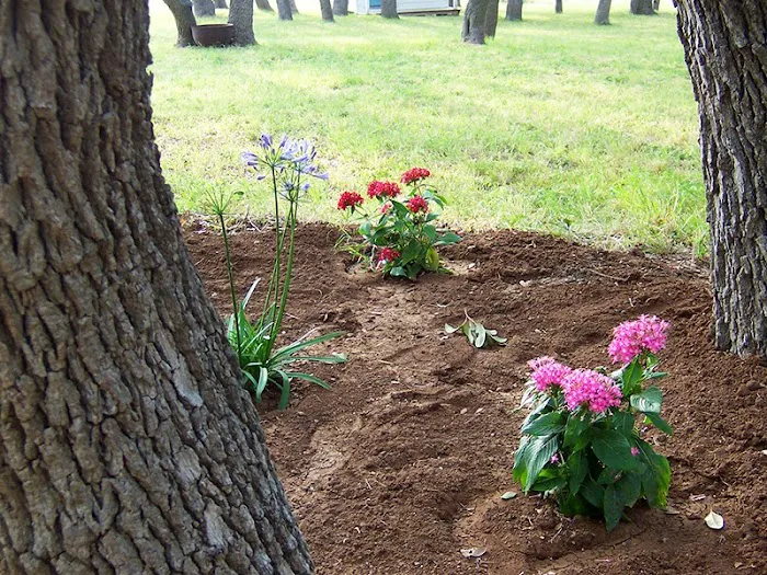 Southern Star RV Park Picture 4