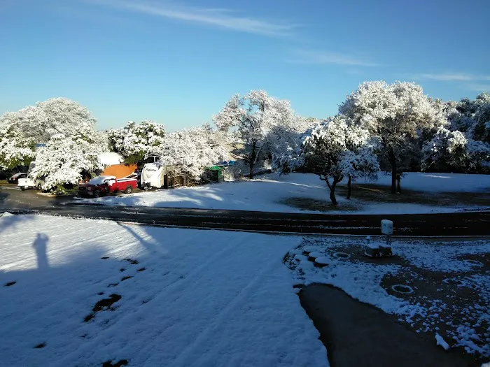 Wagon Wheel RV Park & Cabin Rental Picture 10