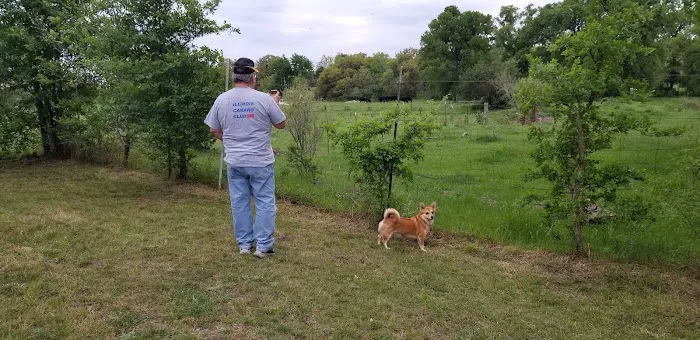 Texas 281 RV Park Picture 10