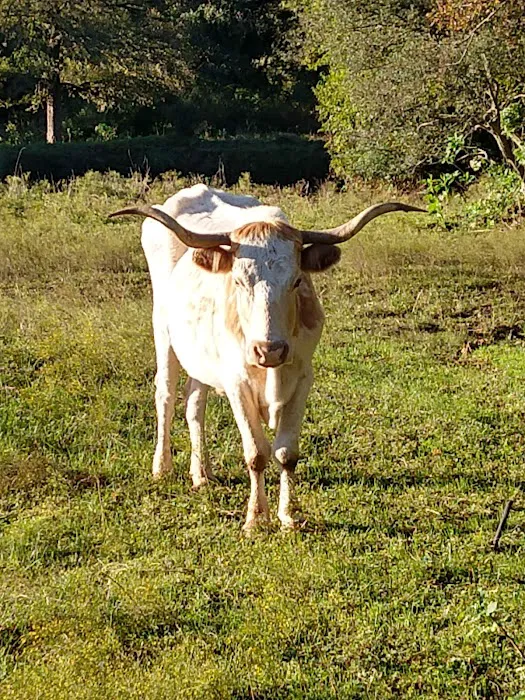 Texas 281 RV Park Picture 7