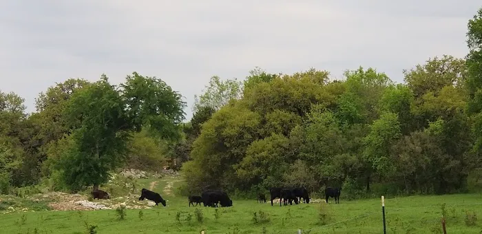 Texas 281 RV Park Picture 9